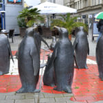 Die Pinguinkolonie - Glücksbringer in Chemnitz